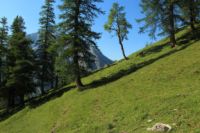2015-07-01_1Pano-bei-Lacke (313).JPG
